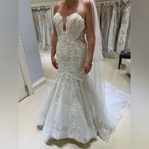 Brand new, never worn or altered Eve of Milday Wedding dress!